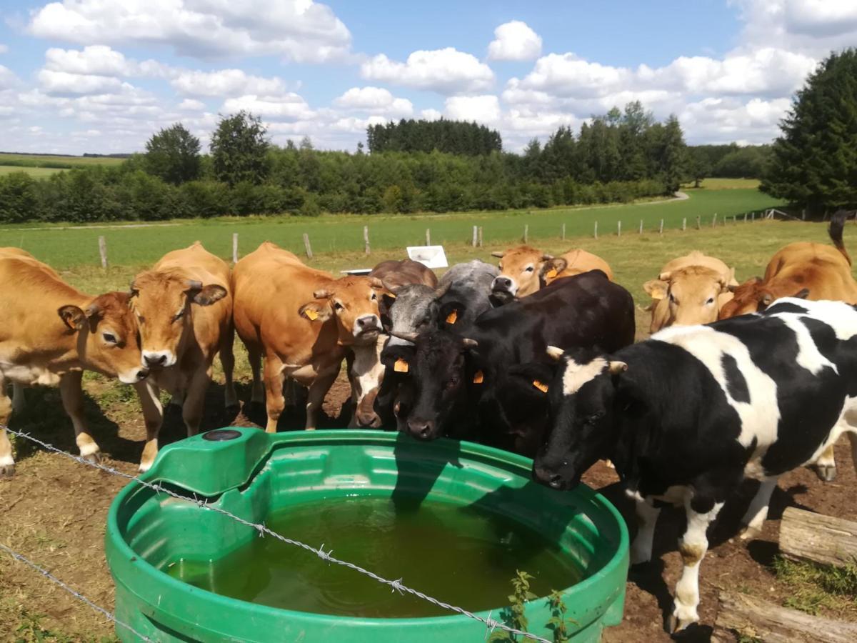 La Ferme Oubliee Villa Paliseul Eksteriør bilde